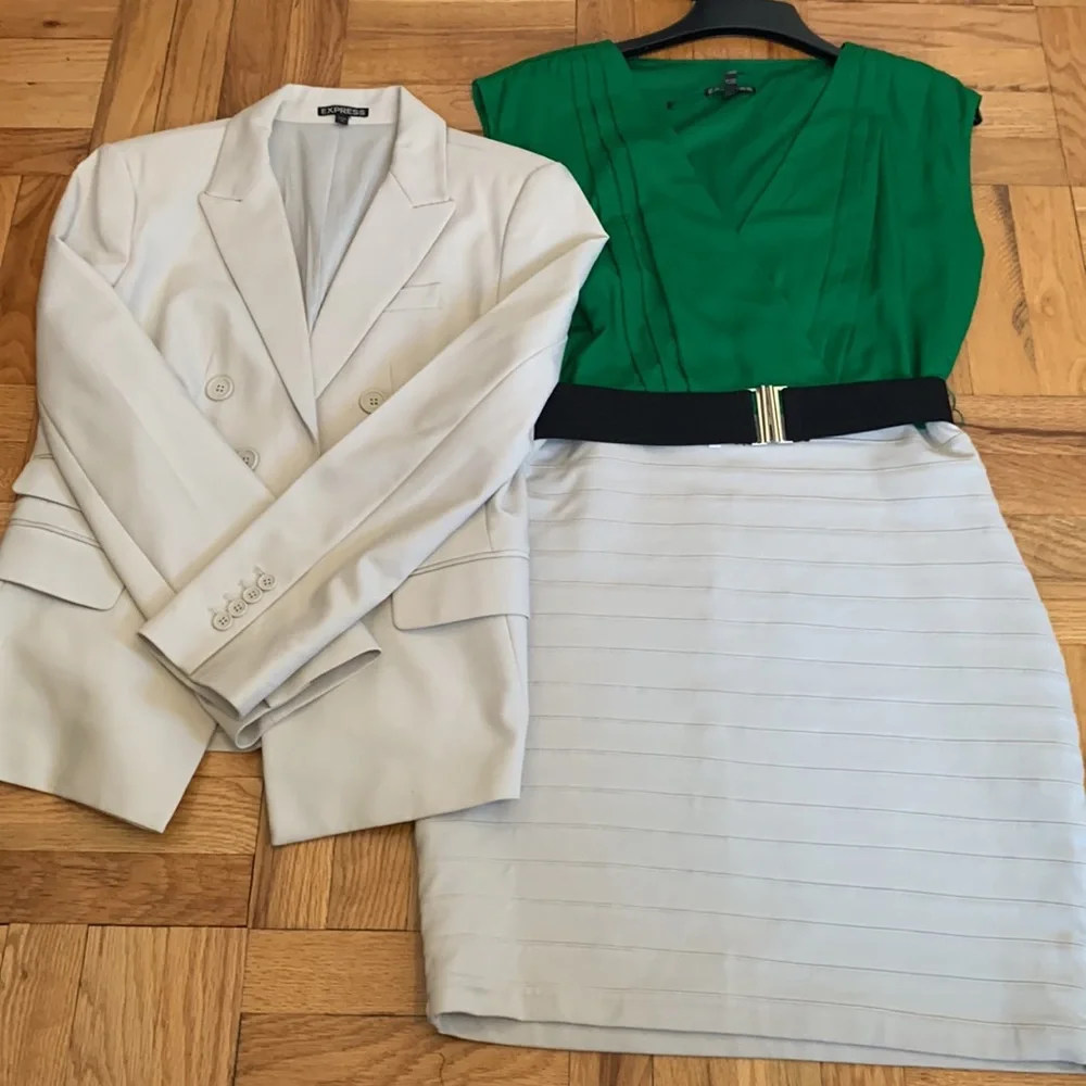 COPY - EXPRESS NEW Fitted Dress - Picture 14 of 14
